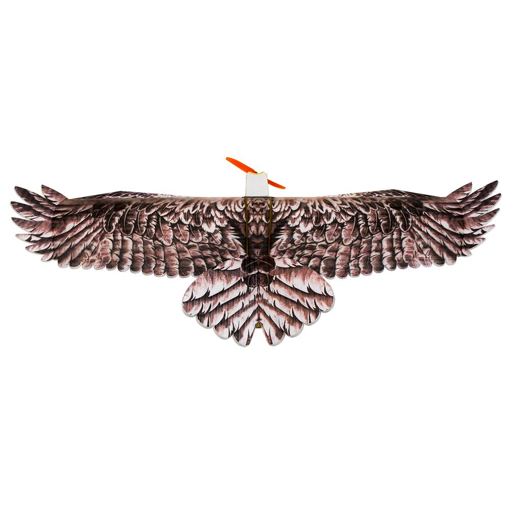 DW Hobby Eagle II EPP Airplane - Rc Hobby Online recension och pris